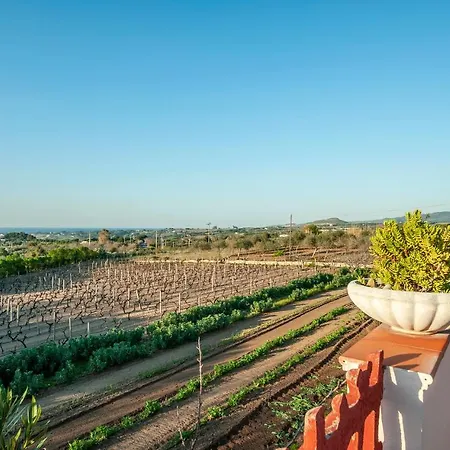 Il Vigneto Bed & Breakfast